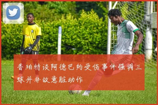 香珀特谈阿德巴约受伤事件强调三球并非故意脏动作